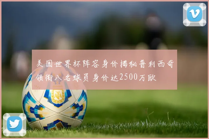 美国世界杯阵容身价揭秘普利西奇领衔八名球员身价达2500万欧
